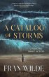 A Catalog of Storms (eBook, ePUB) - Bild 1