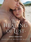 Subtly Seductive (The healing of Lust, #3) (eBook, ePUB) Subtly Seductive (The healing of Lust, #3) (eBook, ePUB)