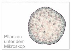 Pflanzen unter dem Mikroskop (Wandkalender 2026 DIN A2 quer), CALVENDO Monatskalender