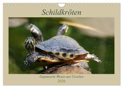 Cover Schildkröten - Gepanzerte Wesen aus Urzeiten (Wandkalender 2026 DIN A4 quer), CALVENDO Monatskalender