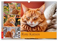 Rote Katzen (Wandkalender 2026 DIN A3 quer), CALVENDO Monatskalender
