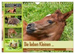 Die lieben Kleinen ... Tierkinder einfach zum Knuddeln (Wandkalender 2026 DIN A4 quer), CALVENDO Monatskalender