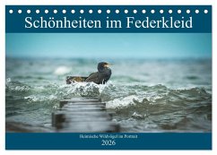 Schönheiten im Federkleid - Heimische Wildvögel im Portrait (Tischkalender 2026 DIN A5 quer), CALVENDO Monatskalender
