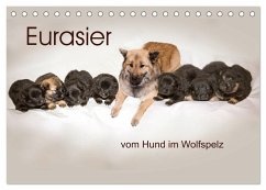 Eurasier, der Hund im Wolfspelz (Tischkalender 2026 DIN A5 quer), CALVENDO Monatskalender Eurasier, der Hund im Wolfspelz (Tischkalender 2026 DIN A5 quer), CALVENDO Monatskalender