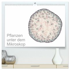 Pflanzen unter dem Mikroskop (hochwertiger Premium Wandkalender 2026 DIN A2 quer), Kunstdruck in Hochglanz Pflanzen unter dem Mikroskop (hochwertiger Premium Wandkalender 2026 DIN A2 quer), Kunstdruck in Hochglanz