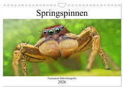 Faszination Makrofotografie: Springspinnen (Wandkalender 2026 DIN A4 quer), CALVENDO Monatskalender Faszination Makrofotografie: Springspinnen (Wandkalender 2026 DIN A4 quer), CALVENDO Monatskalender