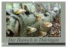 Der Hainich in Thüringen -... - Bild 1