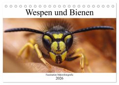 Faszination Makrofotografie: Wespen und Bienen (Tischkalender 2026 DIN A5 quer), CALVENDO Monatskalender
