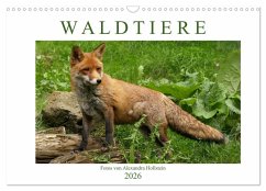 Waldtiere (Wandkalender 2026 DIN A3 quer), CALVENDO Monatskalender