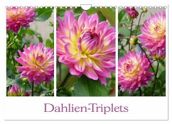 Dahlien-Triplets (Wandkalender 2026 DIN A4 quer), CALVENDO Monatskalender Dahlien-Triplets (Wandkalender 2026 DIN A4 quer), CALVENDO Monatskalender