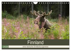 Finnland: eine tierische Entdeckungsreise (Wandkalender 2026 DIN A4 quer), CALVENDO Monatskalender Finnland: eine tierische Entdeckungsreise (Wandkalender 2026 DIN A4 quer), CALVENDO Monatskalender