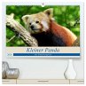 Kleiner Panda auf Entdeckungstour... - Bild 1