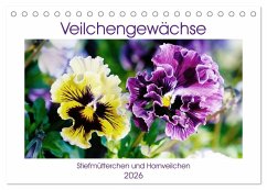 Veilchengewächse - Stiefmütterchen und Hornveilchen (Tischkalender 2026 DIN A5 quer), CALVENDO Monatskalender