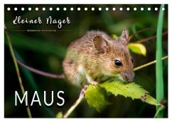 Kleiner Nager - Maus (Tischkalender 2026 DIN A5 quer), CALVENDO Monatskalender