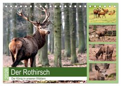 Der Rothirsch - Der König in unseren Wäldern (Tischkalender 2026 DIN A5 quer), CALVENDO Monatskalender Der Rothirsch - Der König in unseren Wäldern (Tischkalender 2026 DIN A5 quer), CALVENDO Monatskalender