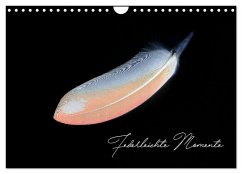 Cover Federleichte Momente (Wandkalender 2026 DIN A4 quer), CALVENDO Monatskalender
