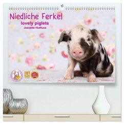 Cover Niedliche Ferkel lovely piglets 2026 (hochwertiger Premium Wandkalender 2026 DIN A2 quer), Kunstdruck in Hochglanz