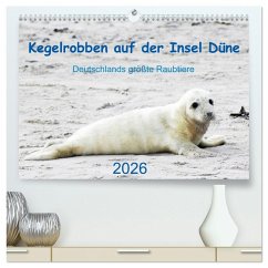 Kegelrobben auf der Insel Düne (hochwertiger Premium Wandkalender 2026 DIN A2 quer), Kunstdruck in Hochglanz