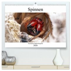 Faszination Makrofotografie: Spinnen (hochwertiger Premium Wandkalender 2026 DIN A2 quer), Kunstdruck in Hochglanz