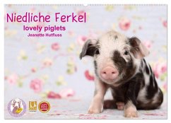 Cover Niedliche Ferkel lovely piglets 2026 (Wandkalender 2026 DIN A2 quer), CALVENDO Monatskalender