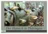 Der Hainich in Thüringen -... - Bild 1
