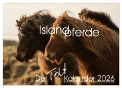 Cover Islandpferde - Der Tölt Kalender (Wandkalender 2026 DIN A2 quer), CALVENDO Monatskalender