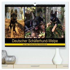 Deutscher Schäferhund-Welpe - aus der Ostdeutschen Arbeitslinie (hochwertiger Premium Wandkalender 2026 DIN A2 quer), Kunstdruck in Hochglanz Deutscher Schäferhund-Welpe - aus der Ostdeutschen Arbeitslinie (hochwertiger Premium Wandkalender 2026 DIN A2 quer), Kunstdruck in Hochglanz