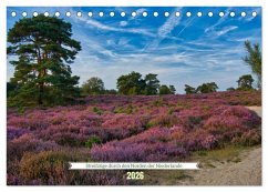 Streifzüge durch den Norden der Niederlande (Tischkalender 2026 DIN A5 quer), CALVENDO Monatskalender
