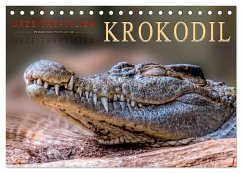 Urzeitreptilien - Krokodil (Tischkalender 2026 DIN A5 quer), CALVENDO Monatskalender