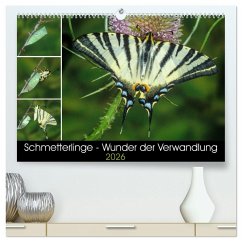 Cover Schmetterlinge - Wunder der Verwandlung (hochwertiger Premium Wandkalender 2026 DIN A2 quer), Kunstdruck in Hochglanz
