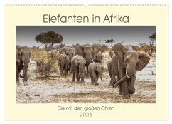 Elefanten in Afrika - Die mit den großen Ohren (Wandkalender 2026 DIN A2 quer), CALVENDO Monatskalender