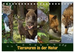 Tierspuren in der Natur (Tischkalender 2026 DIN A5 quer), CALVENDO Monatskalender Tierspuren in der Natur (Tischkalender 2026 DIN A5 quer), CALVENDO Monatskalender