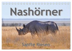 Nashörner - Sanfte Riesen (Tischkalender 2026 DIN A5 quer), CALVENDO Monatskalender
