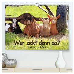 Wer zickt denn da? - Zicklein-Edition (hochwertiger Premium Wandkalender 2026 DIN A2 quer), Kunstdruck in Hochglanz