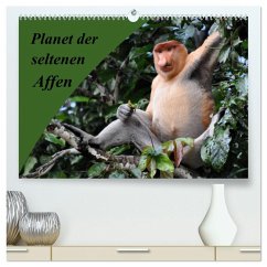 Planet der seltenen Affen (hochwertiger Premium Wandkalender 2026 DIN A2 quer), Kunstdruck in Hochglanz Planet der seltenen Affen (hochwertiger Premium Wandkalender 2026 DIN A2 quer), Kunstdruck in Hochglanz