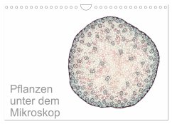 Pflanzen unter dem Mikroskop (Wandkalender 2026 DIN A4 quer), CALVENDO Monatskalender Pflanzen unter dem Mikroskop (Wandkalender 2026 DIN A4 quer), CALVENDO Monatskalender