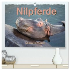 Cover Nilpferde, Kolosse im Wasser (hochwertiger Premium Wandkalender 2026 DIN A2 quer), Kunstdruck in Hochglanz