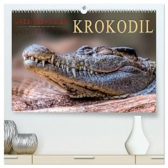 Urzeitreptilien - Krokodil (hochwertiger Premium Wandkalender 2026 DIN A2 quer), Kunstdruck in Hochglanz