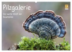 Pilzgalerie - Die bunte Welt der Baumpilze (Wandkalender 2026 DIN A2 quer), CALVENDO Monatskalender Pilzgalerie - Die bunte Welt der Baumpilze (Wandkalender 2026 DIN A2 quer), CALVENDO Monatskalender