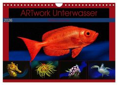 Cover Artwork Unterwasser - Erlebnis Tauchen (Wandkalender 2026 DIN A4 quer), CALVENDO Monatskalender