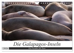 Cover Galapagos-Inseln - Ein Paradies für Tiere (Wandkalender 2026 DIN A4 quer), CALVENDO Monatskalender