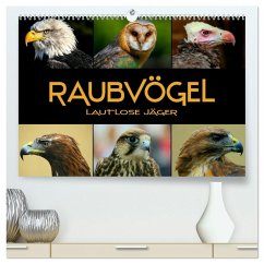 Raubvögel - lautlose Jäger (hochwertiger Premium Wandkalender 2026 DIN A2 quer), Kunstdruck in Hochglanz