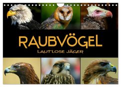 Raubvögel - lautlose Jäger (Wandkalender 2026 DIN A4 quer), CALVENDO Monatskalender