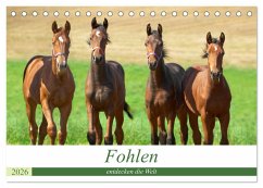 Cover Fohlen entdecken die Welt (Tischkalender 2026 DIN A5 quer), CALVENDO Monatskalender