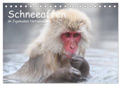 Schneeaffen im Jigokudani Nationalpark (Tischkalender 2026 DIN A5 quer), CALVENDO Monatskalender