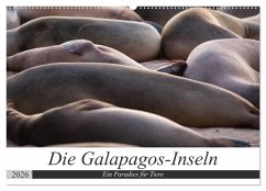 Cover Galapagos-Inseln - Ein Paradies für Tiere (Wandkalender 2026 DIN A2 quer), CALVENDO Monatskalender