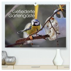 Cover Gefiederte Gartengäste (hochwertiger Premium Wandkalender 2026 DIN A2 quer), Kunstdruck in Hochglanz