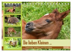 Die lieben Kleinen ... Tierkinder einfach zum Knuddeln (Tischkalender 2026 DIN A5 quer), CALVENDO Monatskalender Die lieben Kleinen ... Tierkinder einfach zum Knuddeln (Tischkalender 2026 DIN A5 quer), CALVENDO Monatskalender
