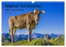 Allgäuer Schönheiten Allgäu - Land... - Bild 1