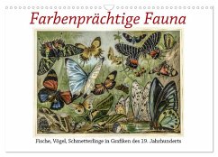 Farbenprächtige Fauna. Fische, Vögel, Schmetterlinge in Grafiken des 19 Jahrhunderts (Wandkalender 2026 DIN A3 quer), CALVENDO Monatskalender Farbenprächtige Fauna. Fische, Vögel, Schmetterlinge in Grafiken des 19 Jahrhunderts (Wandkalender 2026 DIN A3 quer), CALVENDO Monatskalender